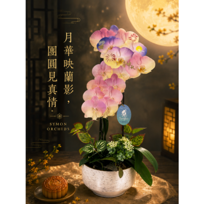 S__171261958_0.png