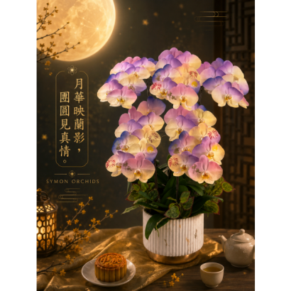 S__171261955_0.png