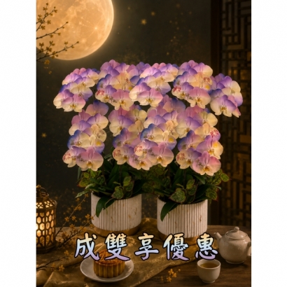 5入成雙.jpg