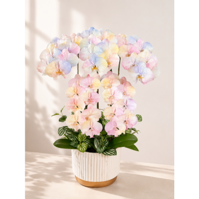 ccb662d3-ace3-46e9-b6cf-cbbe2fb84a1c.png